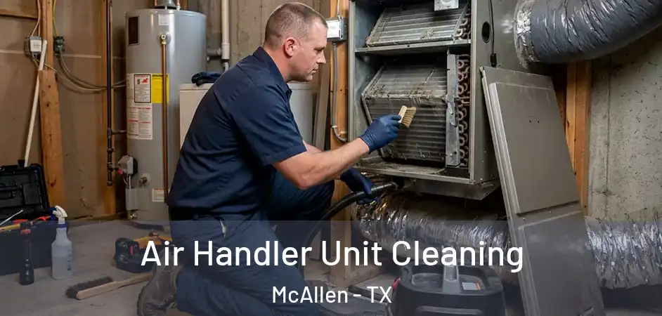 Air Handler Unit Cleaning McAllen - TX