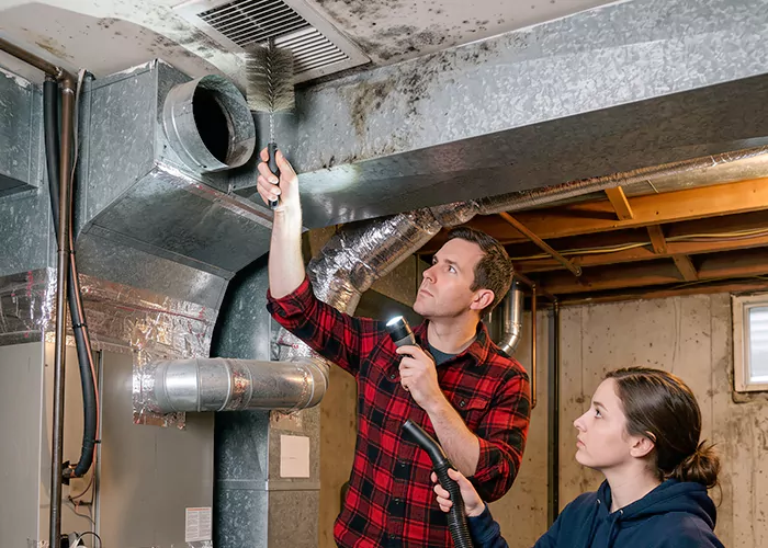 Premier HVAC Mold Remediation Company in McAllen